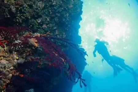 Driftwood Appartamento *