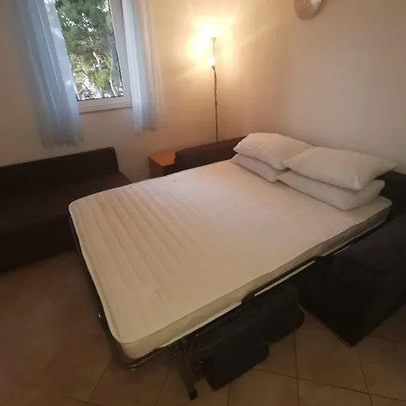 Driftwood Apartament *